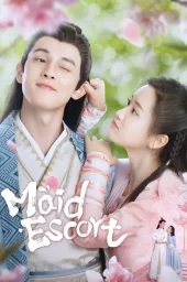 Я не могу позволить себе эту служанку