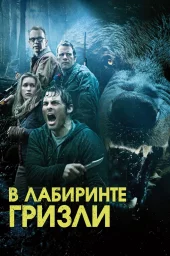 В лабиринте гризли
